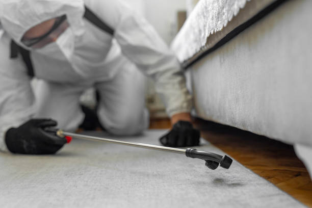 Professional Bed Bug Control technician working in Tripp County County, SD